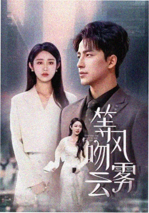 无声证词 韩国电视剧全集免费观看